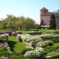 Краковский сад