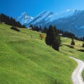 Bernese Oberland, 