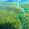 Brazil - Amazon