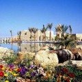 Moevenpick Resort & Spa Dead Sea 5*